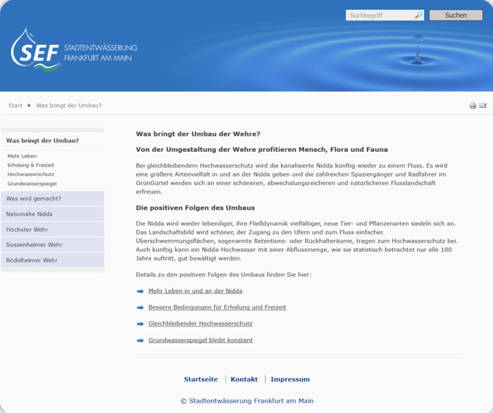 Beispiel-Screenshot 3 zu Websitekonzept und -Text der SEF